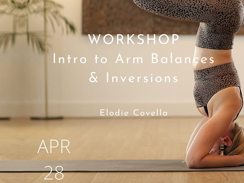Intro to Arm Balances & Inversions